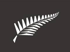 
      
      Martin Snedden elected new NZC chair
      
      