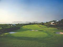 
      
      Many wealthy Indians opt for St Kitts and Nevis citizenship...
      
      