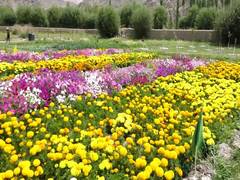 
      
      Ladakh to get new floriculture farm at Thiksay village
      
      
