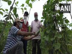 
      
      Retired civil servants issue statement in support of farm...
      
      
