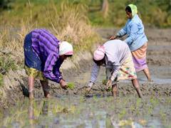 
      
      Over 29 lakh farmers benefitted from PM Kisan Sampada Yojana
      
      