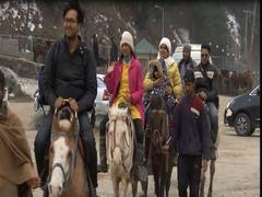 
      
      COVID-19: Tourist influx gradually picking up in J-K's Pahalgam
      
      
