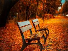 
    Parks not only safe, but essential during pandemic: Drexel study
    