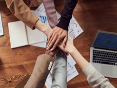 
      
      Study finds team's emotions are associated with creativity
      
      
