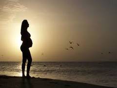 
      
      Air pollution adversely affects female fertility
      
      