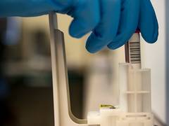 
    Study identifies critical enzyme as potential target for treating male infertility
    