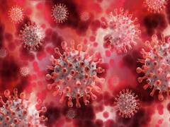 
      
      Scientists find new details about how immune system builds...
      
      