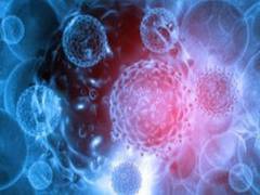
      
      Study finds why some cancer drugs may be ineffective
      
      