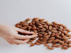 
      
      Study reveals key factors in extending human health through...
      
      