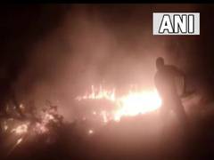 
      
      Officials struggle to douse forest fire amid workers' strike
      
      