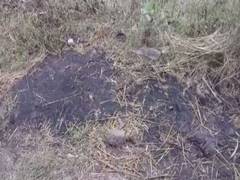 
      
      Chhattisgarh: Half-burnt body of woman found in Bilaspur
      
      