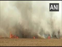 
      
      Uttarakhand: Wheat crop spread across 25 acres destroyed by fire
      
      
