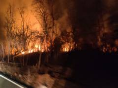 
      
      Fire breaks out in forest in Telangana's Nagarkurnool, no...
      
      