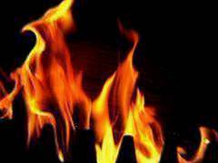 
      
      Fire breaks out in Mumbai's Byculla area
      
      