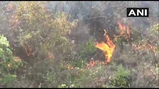 
      
      Fire grips forests of Uttarakhand
      
      