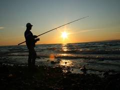 
      
      People working in fishing industry have poorest health: Study
      
      