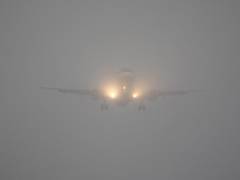 
      
      Flight operations resume at Raipur airport after brief...
      
      