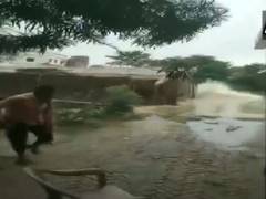 
      
      Bihar flood: 3-storey house collapses in Sitamarhi
      
      