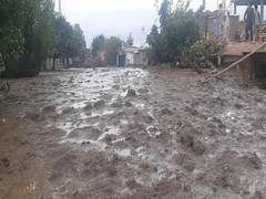 
      
      20 Afghan civilians killed in floods
      
      