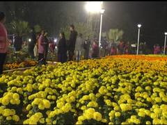 
      
      Flower,  ornamental foliage plant exhibition held in Agartala
      
      