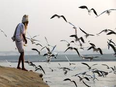 
      
      Bird flu: 6 crows found dead, Uttarakhand sets up control...
      
      