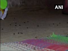 
      
      Officials act after residents complain against poultry farms
      
      