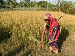 
      
      Tata-Cornell Institute launches hub to empower smallholder farmers
      
      