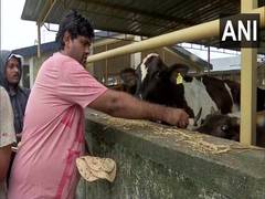 
      
      Gujarat: Several animals, birds rescued from Navsari
      
      