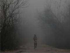 
      
       Fog warning issued for Asaam, Meghalaya: IMD
      
      