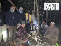 
      
      Assam to conduct leopard census
      
      