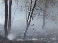 
      
      Fire erupted in Tehri forest due to dumping of city garbage 
      
      