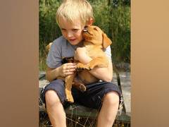 
    Study suggests pet dogs may improve social-emotional development in young children
    