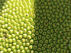 
      
      Study suggests texture of food affects perceptions of healthiness
      
      