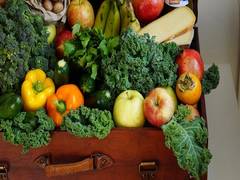 
      
      Study reveals nutrition a key ingredient for cognitive health...
      
      