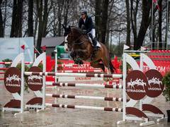 
      
      Equestrian Mirza picks 'Dajara 4' for Tokyo Olympics, says it...
      
      
