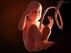 
    Gut immunity more developed before birth: Study
    