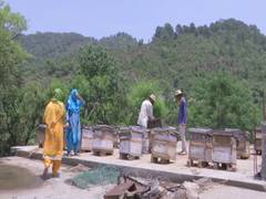 
      
      Beekeepers from remote villages of J-K's Rajouri seek govt...
      
      