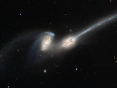 
      
      1.2 million galaxies mapped in quest for dark energy
      
      