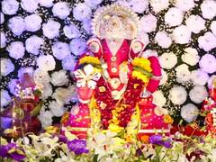 
      
      Vivek Oberoi, Daisy Shah host grand Ganesh Chaturthi...
      
      