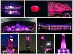 
      
      Kolkata's iconic spots turn pink to welcome historic Test
      
      