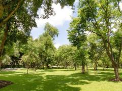 
      
      Mental health benefits of parks dimmed by safety concerns,...
      
      