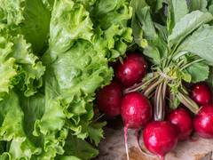 
      
      Plant-based diet reduces risk of cognitive impairment in the...
      
      
