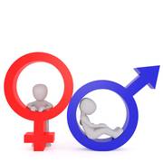 
      
      Gender identity leaves imprint on human brains: Study
      
      