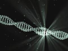 
      
      Why are men more cancer-prone: Answer may lie in the Y chromosome 
      
      