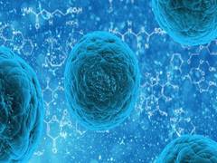 
      
      Small group of genetic variants found in COVID patients may...
      
      
