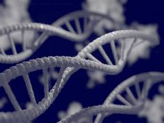 
      
      Genetically informed atlases in brain reveal new landscapes...
      
      