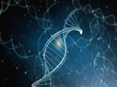 
      
      Scientists develop technique for imaging mRNA molecules in mice
      
      