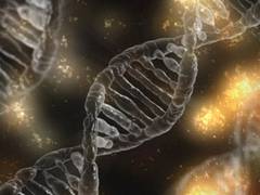 
      
      Those with genetic disorders should be prioritised during...
      
      