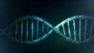 
      
      Your genes may be able to explain your low pay check
      
      