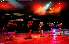 
      
      Circus activity can improve mental health in children
      
      